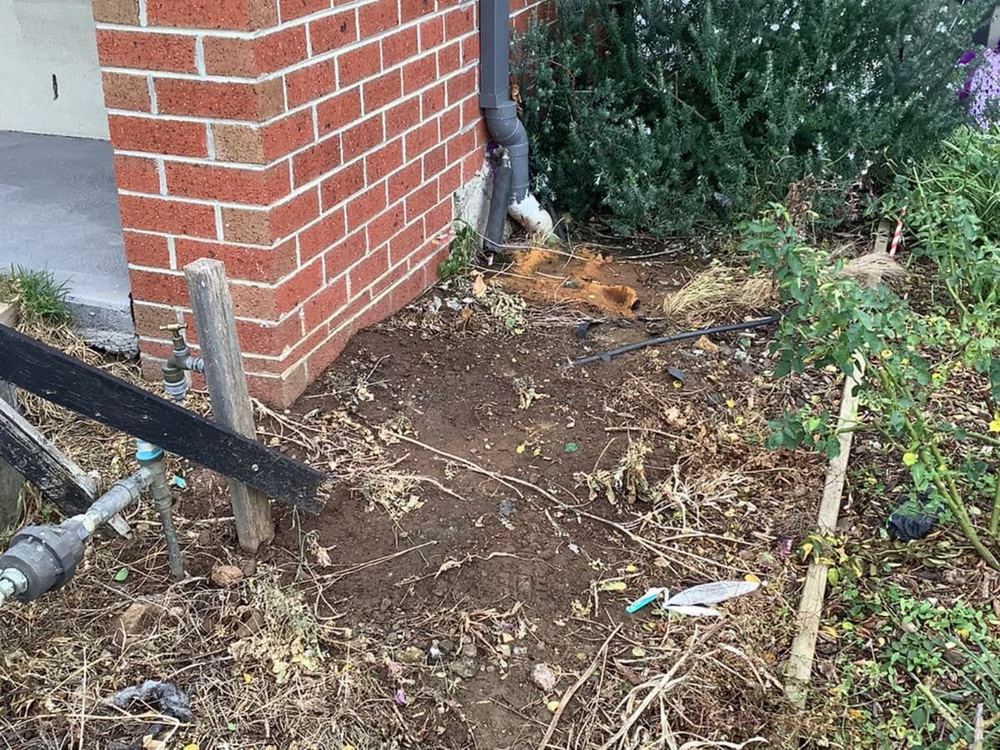 Termite risk in Tarneit: lower than the east, not zero