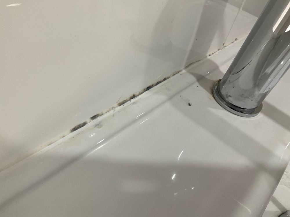 Active mould growth, usually a sign of a leak or poor ventilation, found during a building and pest inspection in Point Cook